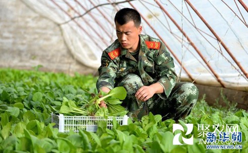 戈壁边防的“种养殖状元” 