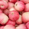洛川红富士苹果、美域高苹果醋、兰河山苹果醋