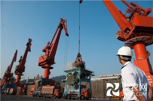 深圳四港口获国家进境粮食指定口岸资质