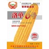 玉米种子洛单6号