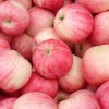 洛川红富士苹果、苹果醋