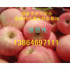 山东潍坊红富士苹果供应基地价格最低