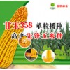 甘玉358——单粒播种，高产先锋玉米种