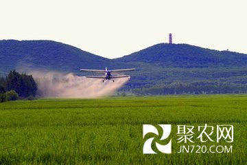 中央一号文件明确七项农业改革