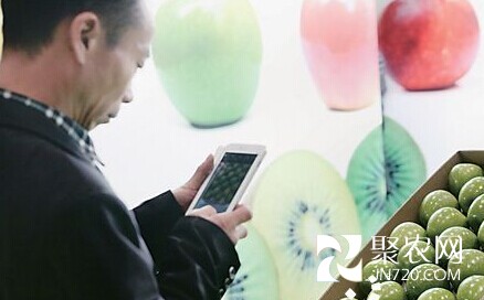 北京：春节前夕进口水果上市量大增