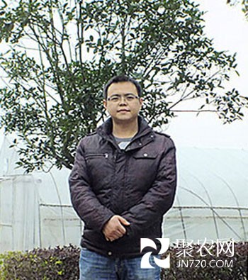 药膳菜名贵 库拉索芦荟
