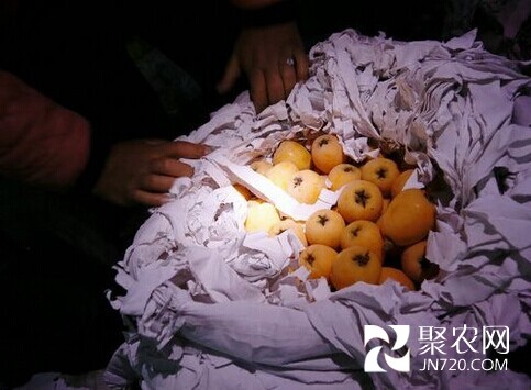 昆明:“小手电”照亮云南水果“大市场”