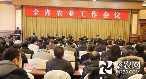 今年黑龙江省粮食种植面积继续稳定在2亿亩以上