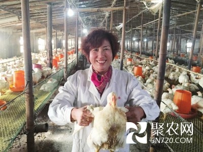 种养带头人张秀霞