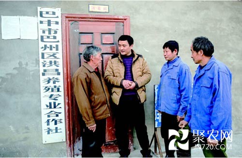 带动乡邻致富的“猪老倌”