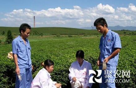河北今年推广测土配方施肥8000万亩