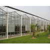 文洛型--玻璃连栋温室 蔬菜大棚 花卉种植 温室大棚建设
