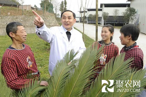养生态黄牛 拓致富大道