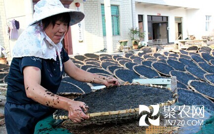 盛亚红:带领妇女走上水产养殖致富路