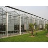 蒙古玻璃温室 单层玻璃温室 玻璃温室的造价