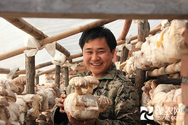 孙涛:坚守深山 用青春引领百姓致富梦
