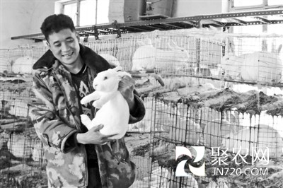 三联群众念獭兔致富经