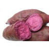 紫薯新品种—紫薯种苗紫玉