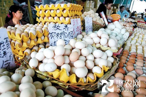 2015年3月全国鸡蛋均价每公斤跌破9元