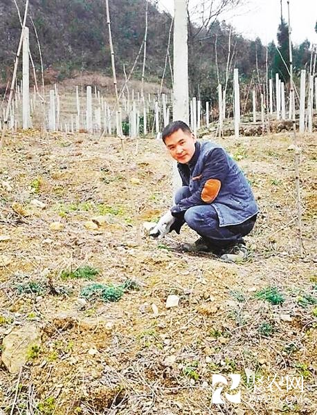 “80后”大学生周钢林:回农村闯出一片新天地
