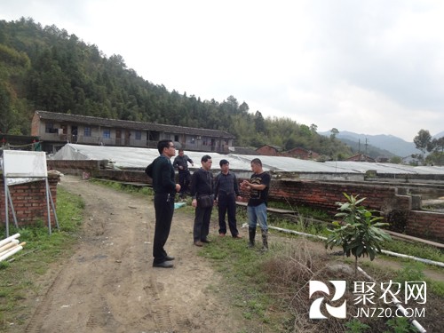 福建清流:考察泥鳅养殖和良种场建设