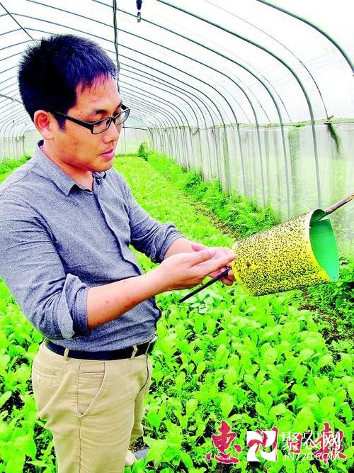 安徽小伙惠州市博罗办有机农场
