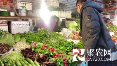 黑龙江哈市地产蘸酱菜大量上市