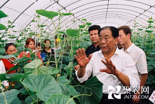 王乐义:让北方百姓冬天吃上新鲜菜