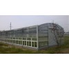 阳光板温室的优势 阳光板种植温室 山东阳光板温室