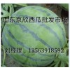 山东西瓜产地山东大棚西瓜批发