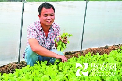 做新型农场主，做“职业农民”
