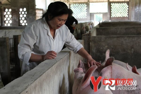 失业女工“廖大胆”的致富之路