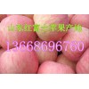 13668696760红富士苹果产地山东冷库苹果批发价格