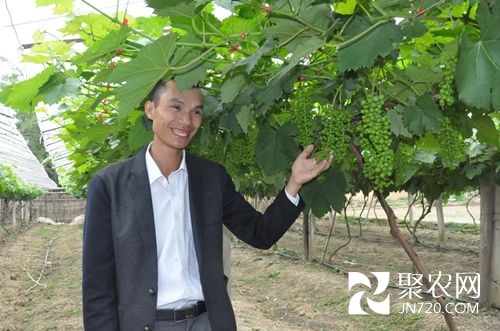 鹿寨“水果大王”带领乡亲走上致富路