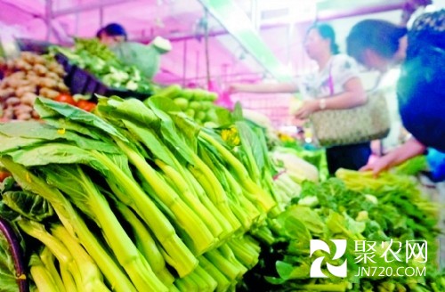 广东中山:持续暴雨致叶菜价格普涨