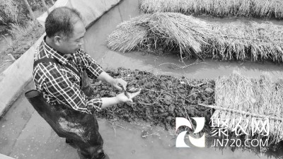 养殖水蛭成就致富梦