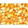 《亚卫饲料厂》常年求购玉米，大麦，高粱，棉粕等饲料原料