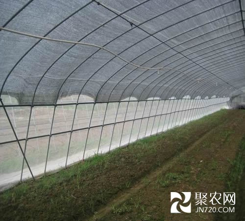温室大棚设施设备通风目的