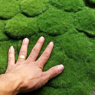 上饶市 仿真植物墙绿色假草坪 植毛海棉青苔草皮 苔藓