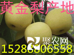 QQ图片20150720153803_副本