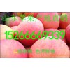 15266669339红星苹果收购价格