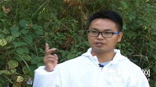 图片8