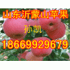18669929679山东沂蒙山红星红将军苹果价格