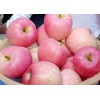 河南红富士苹果批发多少钱一斤