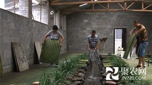 图片6