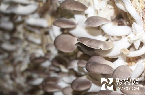 图片7