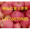 供应山东红富士苹果产地价格13176070985