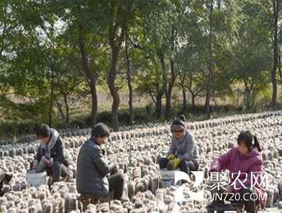 图片8