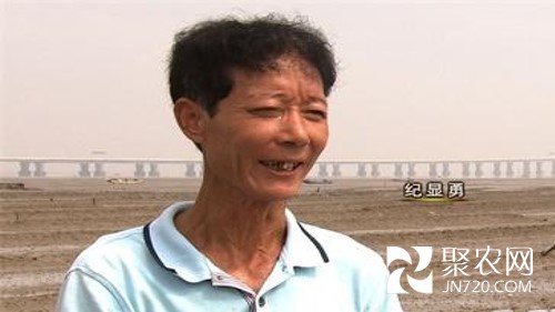图片1