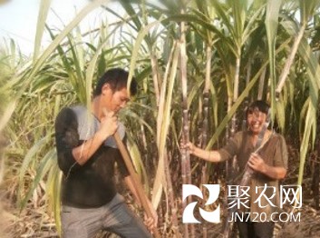 图片14